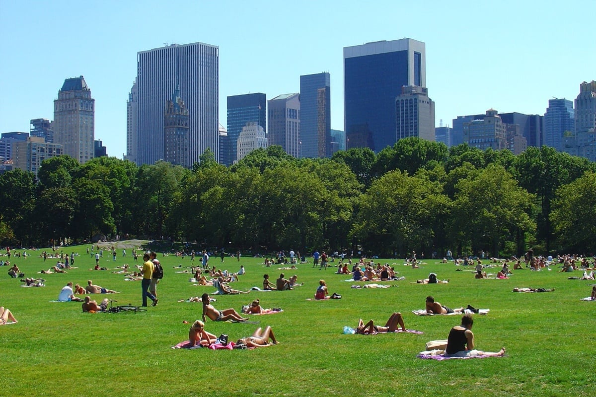 hoodline.com - Nolan Keegan - Central Park Knifepoint Assault: Woman, 30, Hospitalized