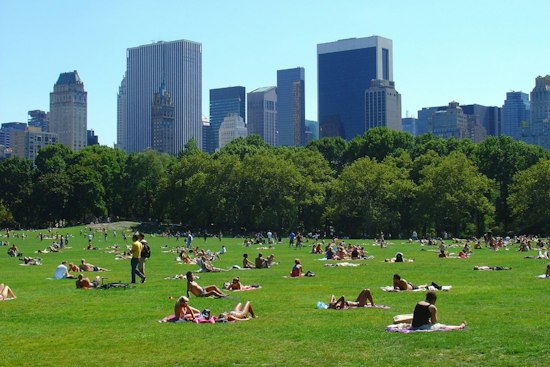 Knifepoint Attack in Central Park Leaves Woman, 30, Hospitalized, No Arrest