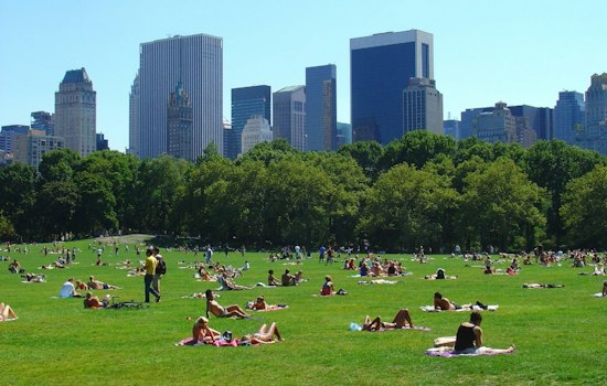 Knifepoint Attack in Central Park Leaves Woman, 30, Hospitalized, No Arrest
