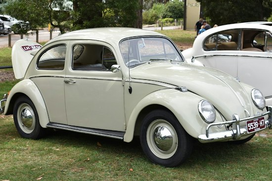 La Grange Trunk-or-Treat Car Show Draws 400 Fans, Hearses and a 16-Year Restoration