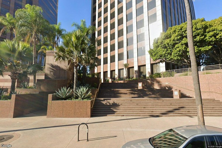LA Animal Services Audit Finds Overcrowding, Staff Gaps