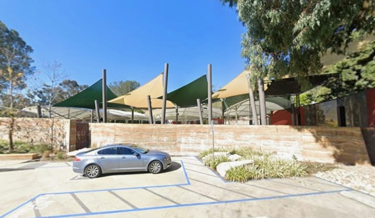 Laguna Beach Council Hopefuls Clash Over Parking Fixes, Artist Housing