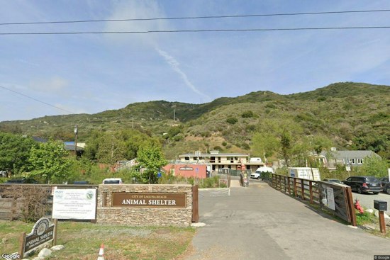Laguna Beach Marine Mammal Hospital Reopens With 10 Pools After $20M Overhaul