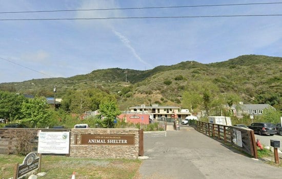 Laguna Beach Marine Mammal Hospital Reopens With 10 Pools After $20M Overhaul