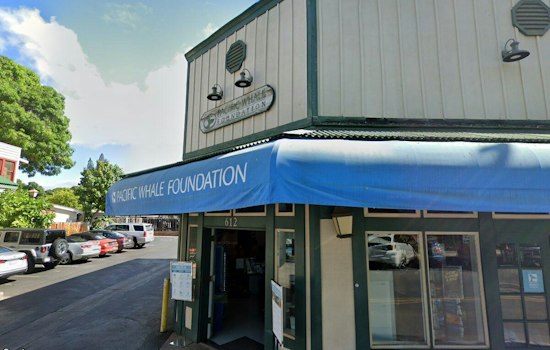 Lahaina's Front Street Gets First Permanent Commercial Rebuild Since 2023 Wildfire