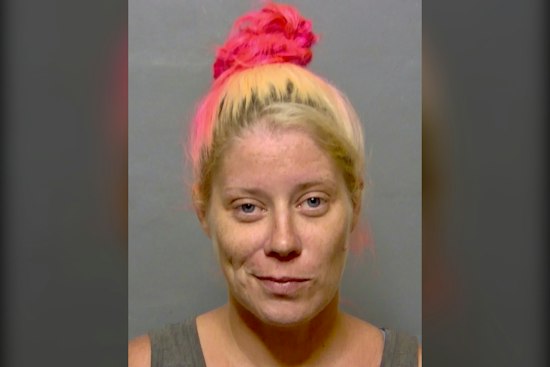 Lake Panasoffkee Couple Arrested After Alleged Chihuahua Taking and Assault