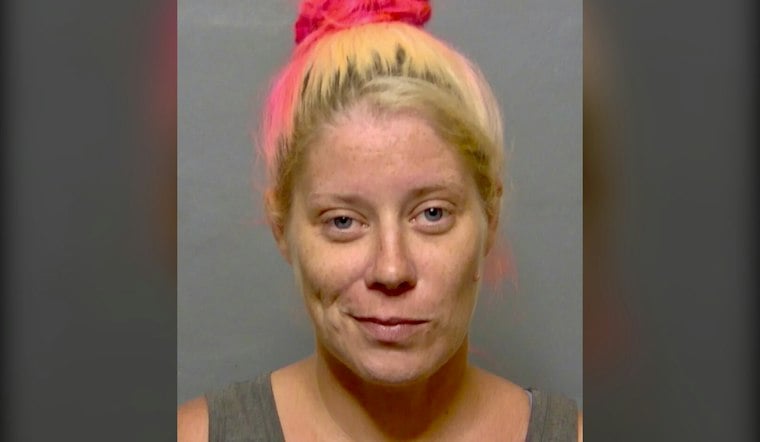 Lake Panasoffkee Couple Arrested After Alleged Chihuahua Taking and Assault