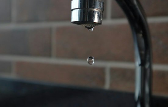 Lansing Spring Dried Up for 3 Months After Helene, Resident Flushed Toilet With Creek Water