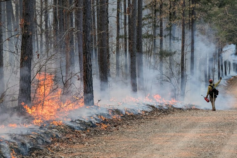 Large Wildfire Erupts Near Aplin, Arkansas as 25 Counties Face Extreme Wildfire Risk