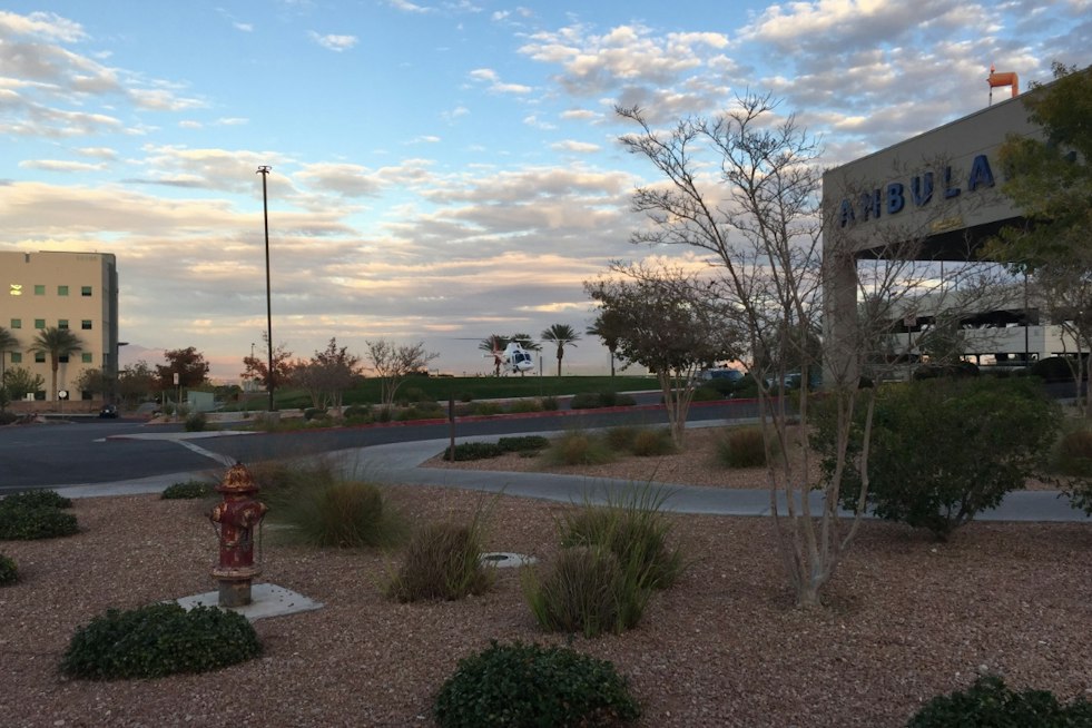 Las Vegas Hospital Falsely Declared Son Dead, New Jersey Mom's Lawsuit Says