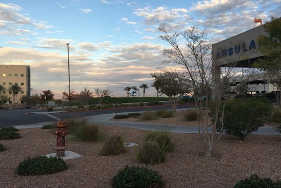 Las Vegas Hospital Falsely Declared Son Dead, New Jersey Mom's Lawsuit Says