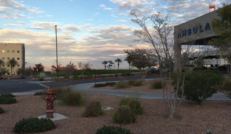 Las Vegas Hospital Falsely Declared Son Dead, New Jersey Mom's Lawsuit Says