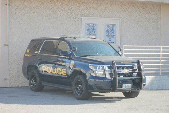 Las Vegas School Aide Arrested on Child Abuse, Endangerment Charges