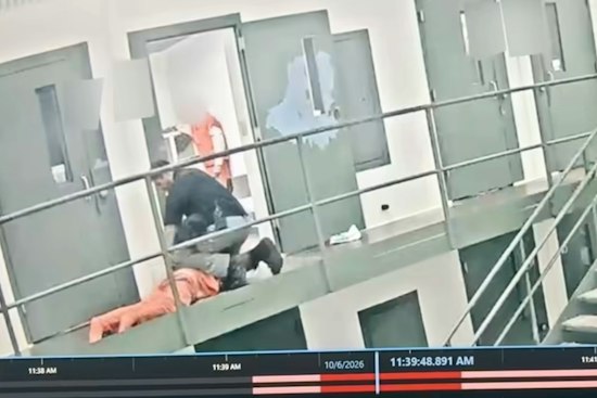 Lecanto Jail Guard Taken Into Custody After Inmate Loses Consciousness in Cell Takedown