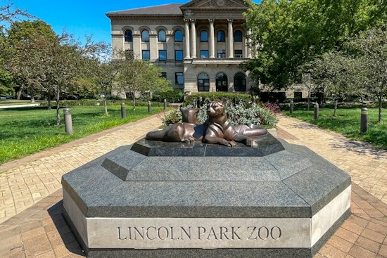 Lincoln Park Zoo's ZooLights Tickets Drop, With 3 Million Lights Returning