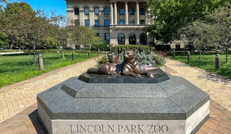 Lincoln Park Zoo's ZooLights Tickets Drop, With 3 Million Lights Returning