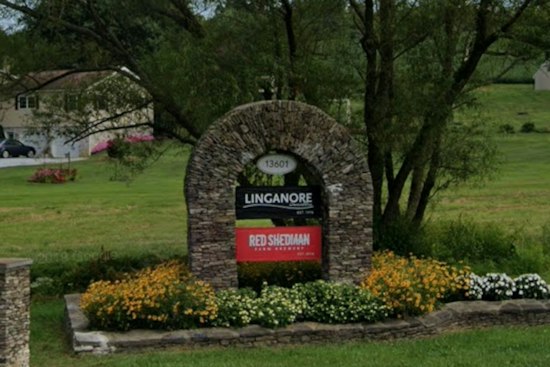 Linganore Winecellars Marks 50 Years With Mount Airy Reggae Fest