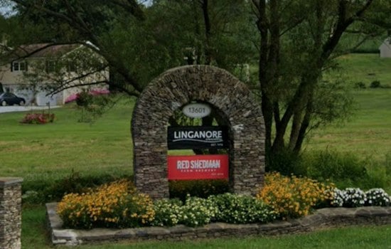 Linganore Winecellars Marks 50 Years With Mount Airy Reggae Fest