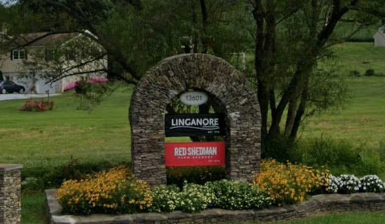 Linganore Winecellars Marks 50 Years With Mount Airy Reggae Fest