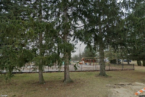 Livonia Sting Nabs Chicago School Worker Who Drove In for Sex With Teen