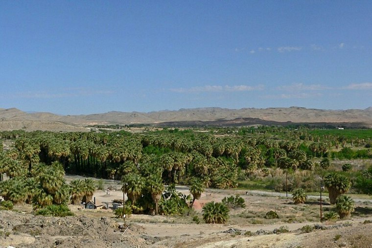Logandale's Moapa Valley Corn Maze Returns With Zombie Paintball and Fried Apple Fries
