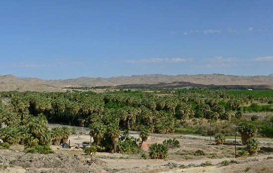 Logandale's Moapa Valley Corn Maze Returns With Zombie Paintball and Fried Apple Fries