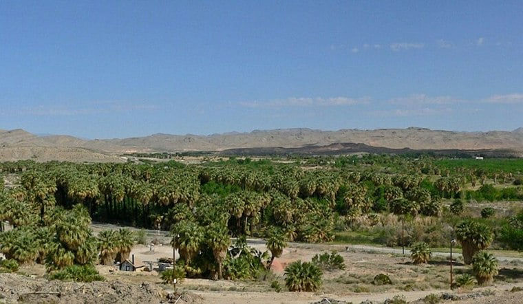 Logandale's Moapa Valley Corn Maze Returns With Zombie Paintball and Fried Apple Fries