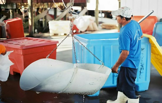 Louisiana to Open $27M Hurricane Aid Window for Fishermen, Processors, Dealers