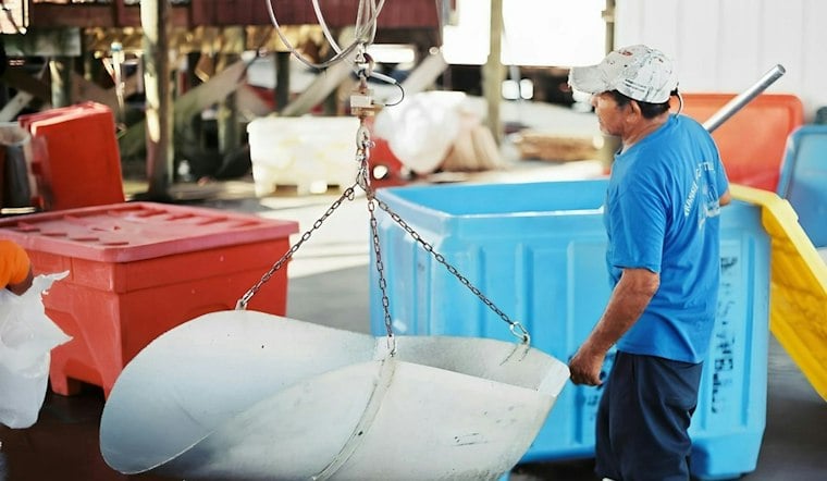Louisiana to Open $27M Hurricane Aid Window for Fishermen, Processors, Dealers