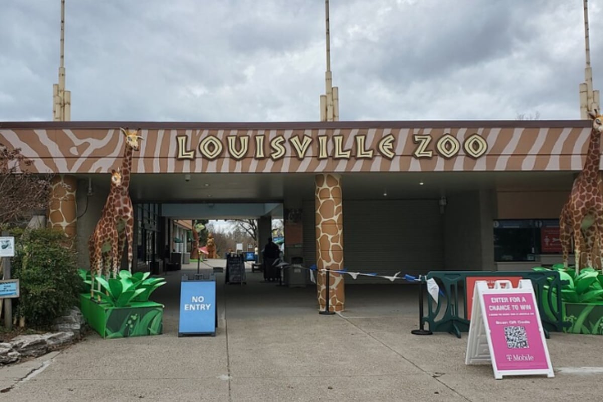 Boo at the Zoo 2026: Louisville Zoo's 45th Anniversary Event