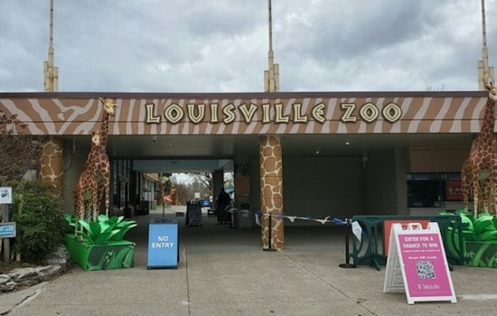 Louisville Zoo's Boo at the Zoo Turns 45 With Spider House, Headless Horseman