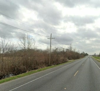 LSU Senior Leah Fonte Killed After Vehicle Struck Her on Nicholson Drive's Right Shoulder, Second Pedestrian Later Dies