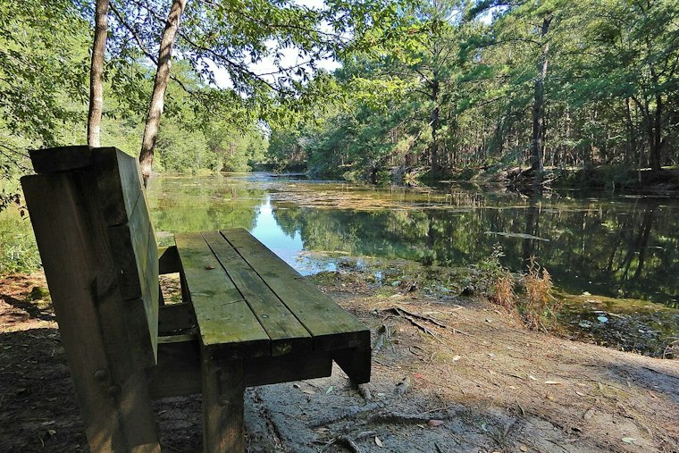 Lumber River State Park Grows by 3,005 Acres, Becomes NC's No. 2 Park
