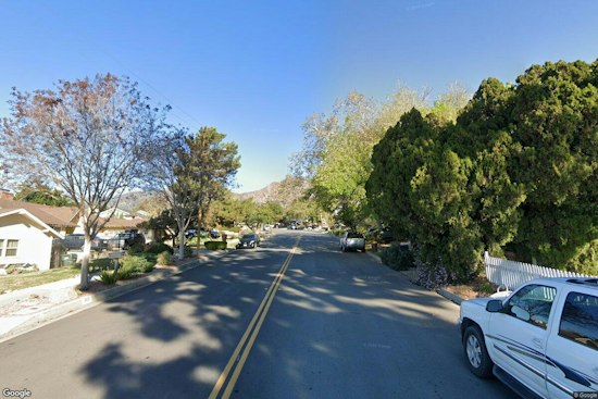 Mama Bear and Two Cubs Roam Monrovia and Pasadena Foothills Amid Heat Wave