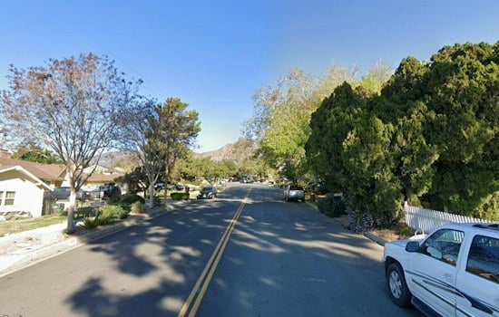 Mama Bear and Two Cubs Roam Monrovia and Pasadena Foothills Amid Heat Wave