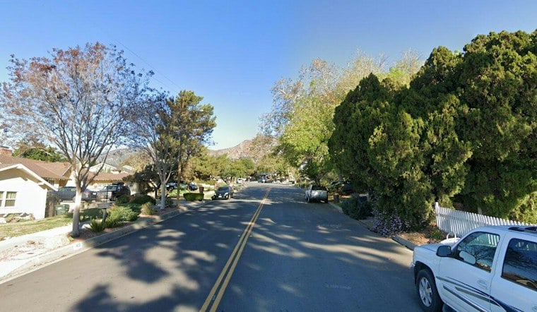 Mama Bear and Two Cubs Roam Monrovia and Pasadena Foothills Amid Heat Wave