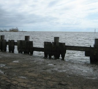 Man, 48, Vanishes Under Lake Pontchartrain After Jumping Off Boat Without Life Jacket