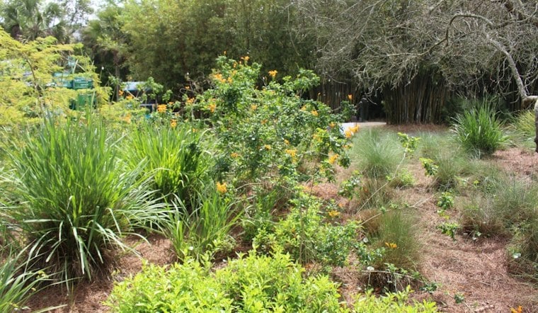 Man Calling Himself ‘Barbie’ Tried To Lure Girl, 5, From Jacksonville Zoo