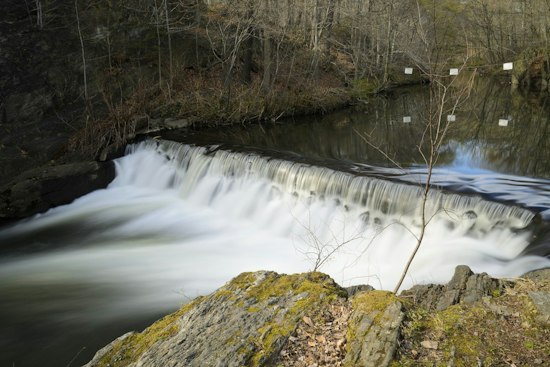 Man’s Body Pulled From Bronx River Inside New York Botanical Garden