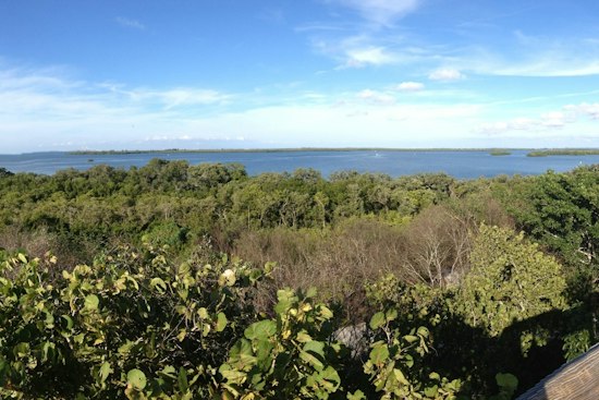 Manatee County Locks Up 711 Acres in $16.25M Conservation Land Grab
