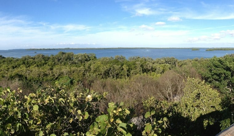 Manatee County Locks Up 711 Acres in $16.25M Conservation Land Grab