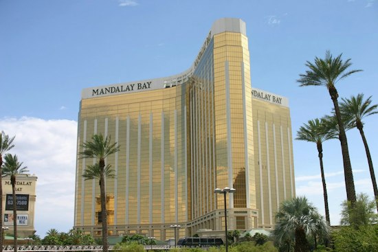 Mandalay Bay Adds November and December Dates for Shark Reef Yoga Class