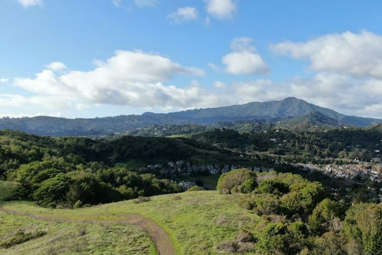 Marin-Sonoma Venture Fund Tops $17 Million, Backs 22 North Bay Startups