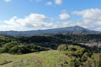 Marin-Sonoma Venture Fund Tops $17 Million, Backs 22 North Bay Startups