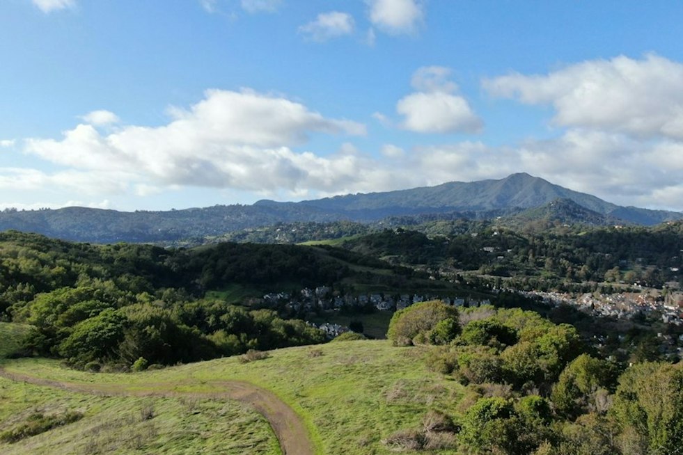 Marin-Sonoma Venture Fund Tops $17 Million, Backs 22 North Bay Startups