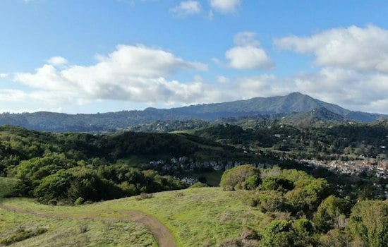 Marin-Sonoma Venture Fund Tops $17 Million, Backs 22 North Bay Startups