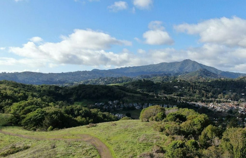 Marin-Sonoma Venture Fund Tops $17 Million, Backs 22 North Bay Startups