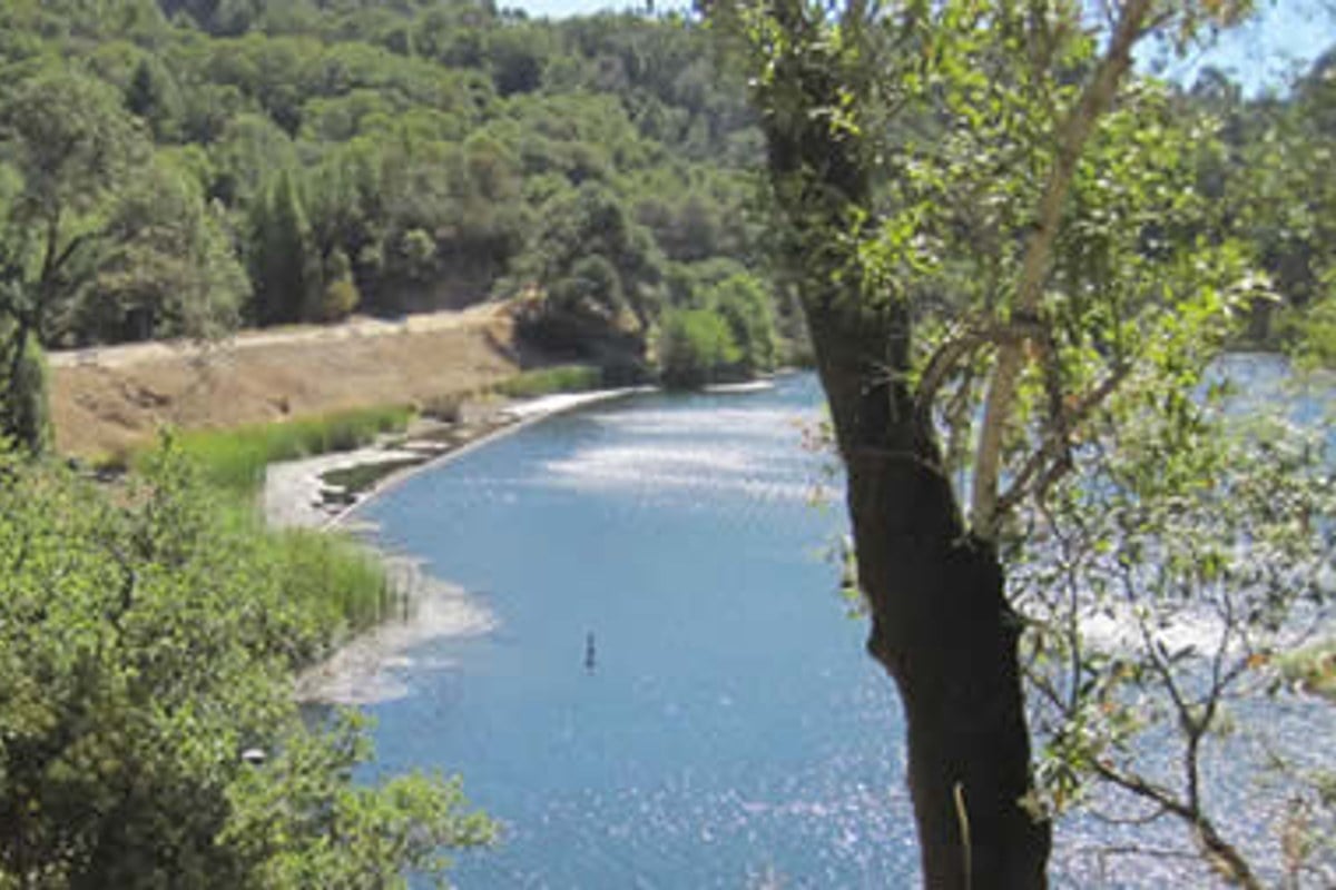 Marin Water Plans Phoenix Lake Drawdown to Blunt Ross Valley Flood Risk