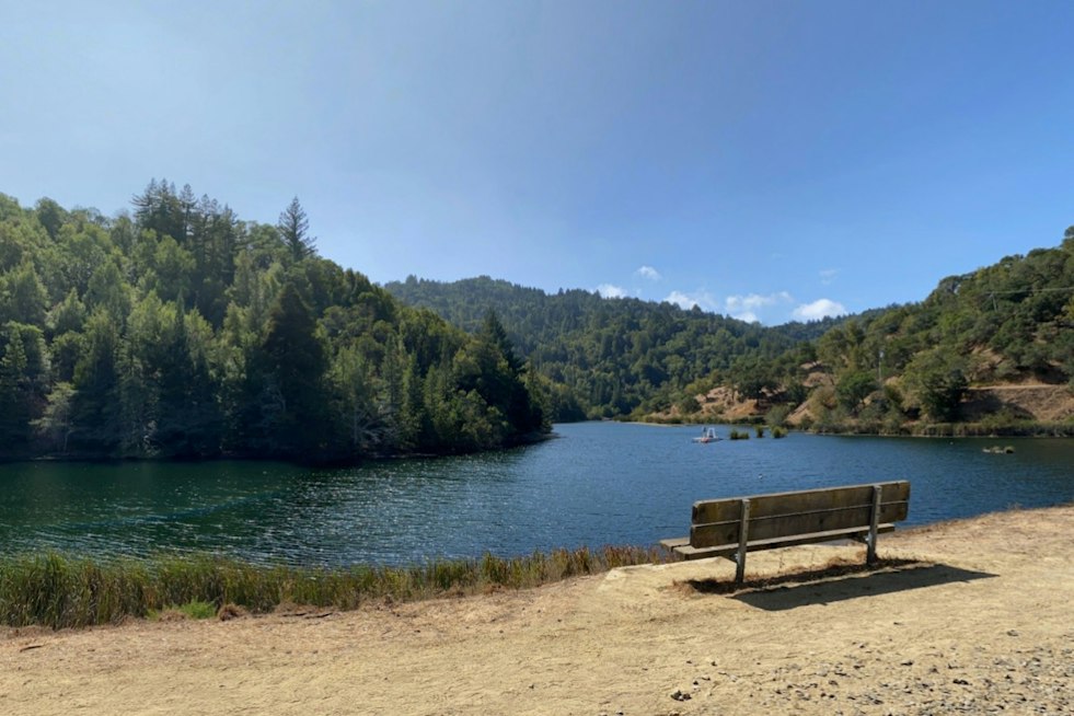 Marin Water Plans Phoenix Lake Drawdown to Blunt Ross Valley Flood Risk