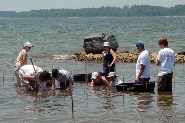 Maryland Builds 70-Acre Oyster Reef in Hooper Strait With $10M Federal Grant